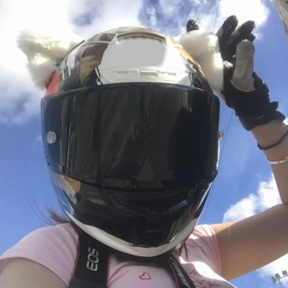 Moanyt Zestaw 2 uszu kota do kasku rowerowego, kask narciarski, kask motocyklowy, kask snowboardowy (kask nie wchodzi w zakres dostawy), czarny i różowy.